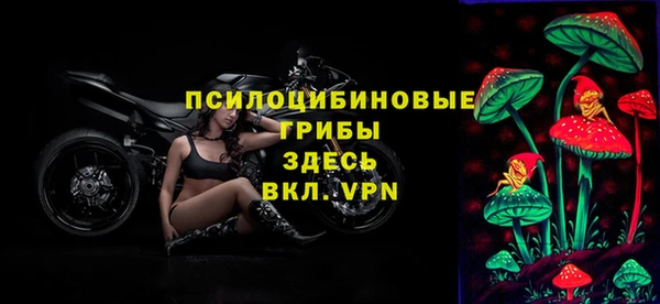 альфа пвп Горнозаводск