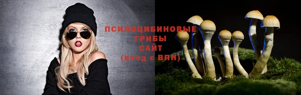 хмурый Вяземский