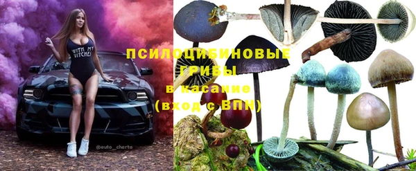 мескалин Вязьма