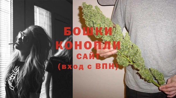 хмурый Вяземский