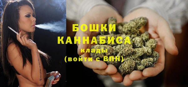 хмурый Вяземский