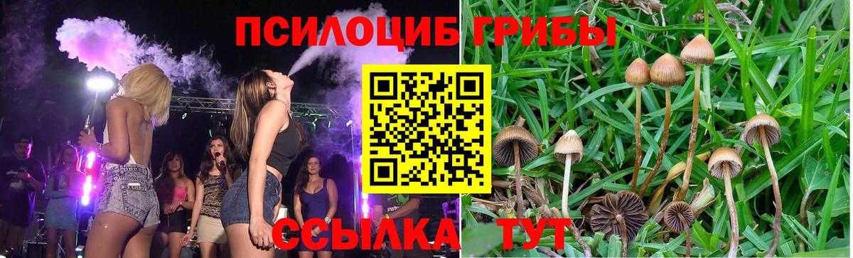 Галлюциногенные грибы ЛСД Нурлат